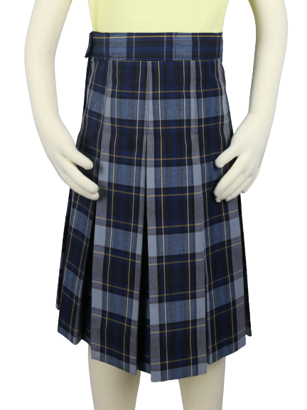 Plaid Skirt
