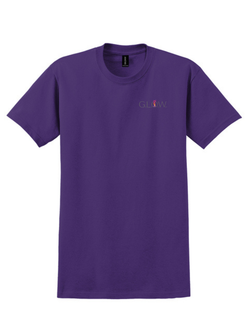 Spirit T-Shirt - Color logo